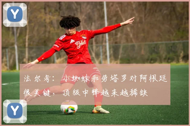 法尔考：小蜘蛛和劳塔罗对阿根廷很关键，顶级中锋越来越稀缺